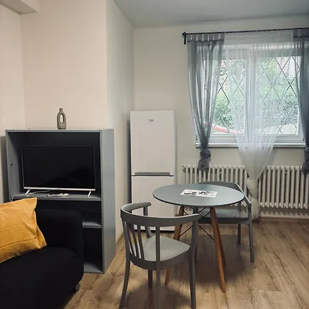 Apartment Veleslavinova *